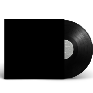 VINYLE -  Le Disque.  Asche Kapade